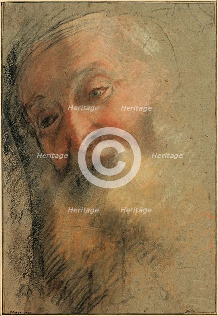 Head of an Old Bearded Man, 1584-1586. Artist: Barocci, Federigo (1528-1612)