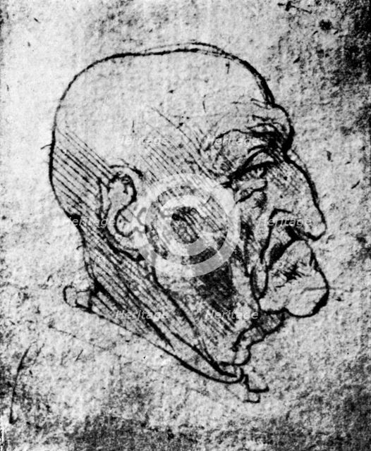 'Head of an Old Man', 1913. Artist: Leonardo da Vinci