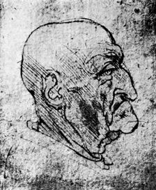Head of an Old Man 1913. Artist: Leonardo da Vinci