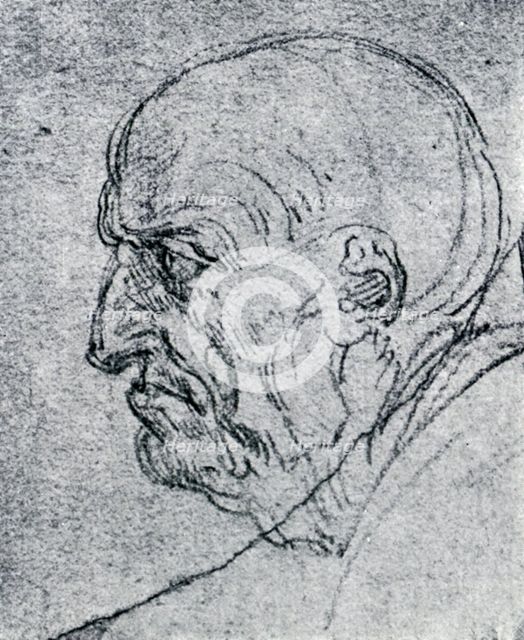 'Head of an Old Man', 1913. Artist: Leonardo da Vinci