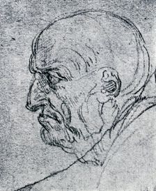 Head of an Old Man 1913. Artist: Leonardo da Vinci