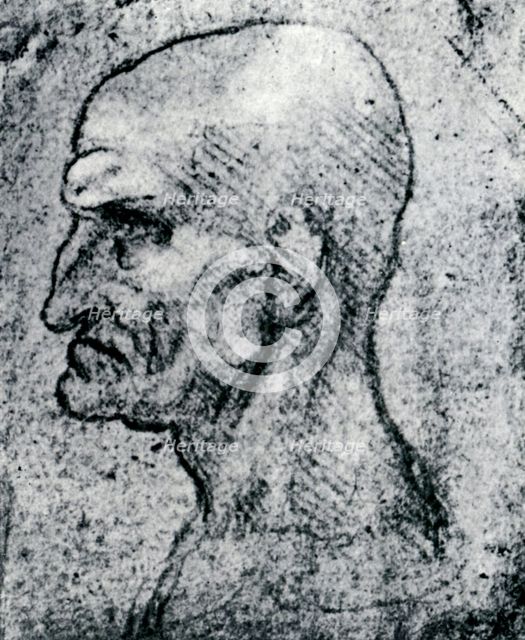 'Head of an Old Man', 1913. Artist: Leonardo da Vinci