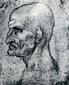 Head of an Old Man 1913. Artist: Leonardo da Vinci