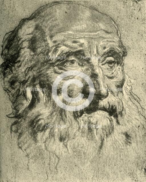 'Head of an Old Man', mid 18th century, (1928). Artist: Giovanni Battista Tiepolo.