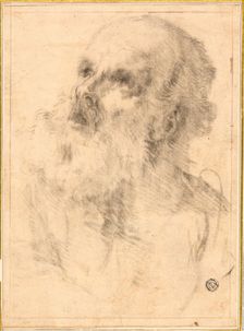 Head of an Old Man, n.d. Creator: Bartolomé Esteban Murillo