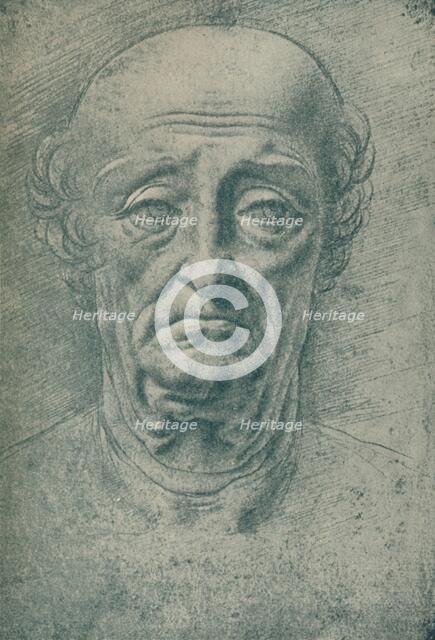 'Head of an Old Man', c15th century, (1932). Artist: Leonardo da Vinci.