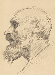 Head of an Old Man. Creator: Alphonse Legros