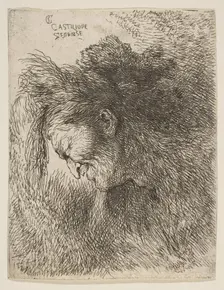 Head of an old man looking down, facing Left, from the series of Small Heads in ..., ca. 1645-1650. Creator: Giovanni Benedetto Castiglione