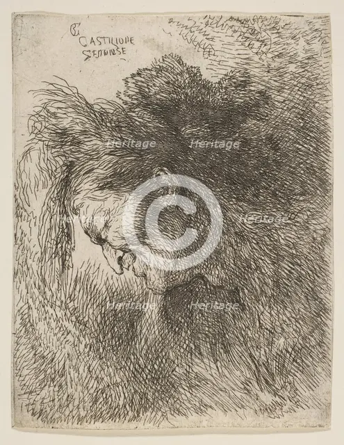 Head of an old man looking down, facing Left, from the series of 'Small Heads in ..., ca. 1645-1650. Creator: Giovanni Benedetto Castiglione.
