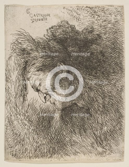 Head of an old man looking down, facing Left, from the series of 'Small Heads in ..., ca. 1645-1650. Creator: Giovanni Benedetto Castiglione.