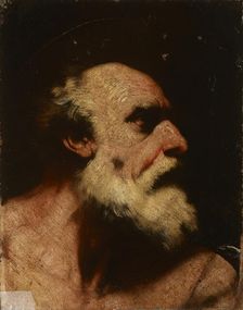 Head of an Old Man (Saint Jerome), 17th century. Creator: Follower of Jusepe de Ribera