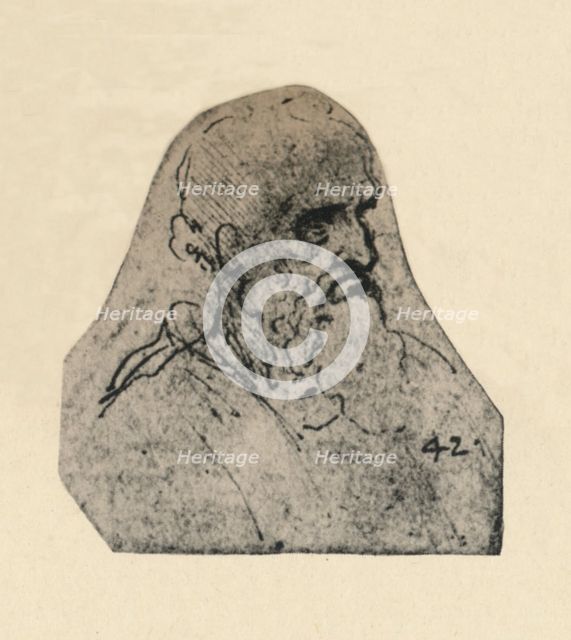 'Head of an Old Man Turned to the Right', c1480 (1945). Artist: Leonardo da Vinci.