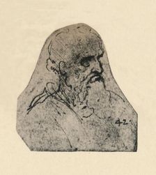 Head of an Old Man Turned to the Right c1480 (1945). Artist: Leonardo da Vinci