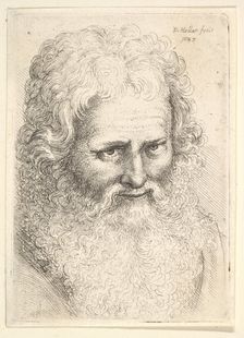 Head of an old man with a large beard, 1645. Creator: Wenceslaus Hollar