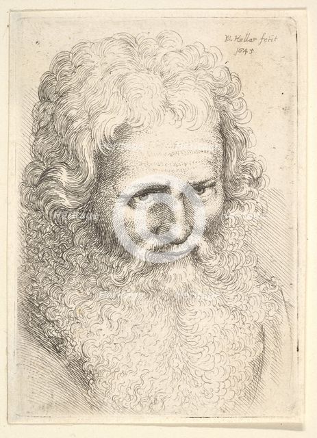 Head of an old man with a large beard, 1645. Creator: Wenceslaus Hollar.