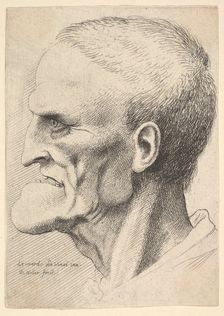 Head of an old man with a pronounced chin, short cropped hair and gaping mouth showing ..., 1625-77. Creator: Wenceslaus Hollar