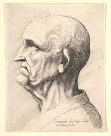 Head of an old man with tufts of curly hair around ear in profile to left, 1644-52. Creator: Wenceslaus Hollar
