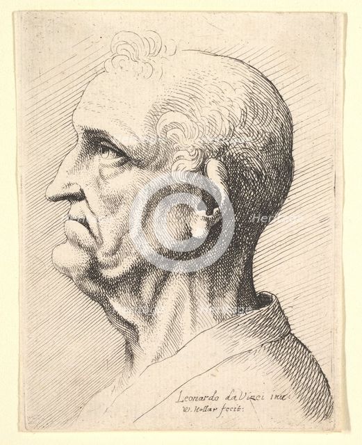 Head of an old man with tufts of curly hair around ear in profile to left, 1644-52. Creator: Wenceslaus Hollar.