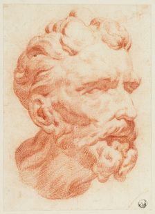 Head of Bearded Man in Three-Quarter Profile to Right, 1666-1712. Creator: Pietro Dandini