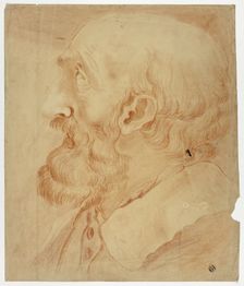 Head of Bearded Man in Profile, n.d. Creator: Unknown