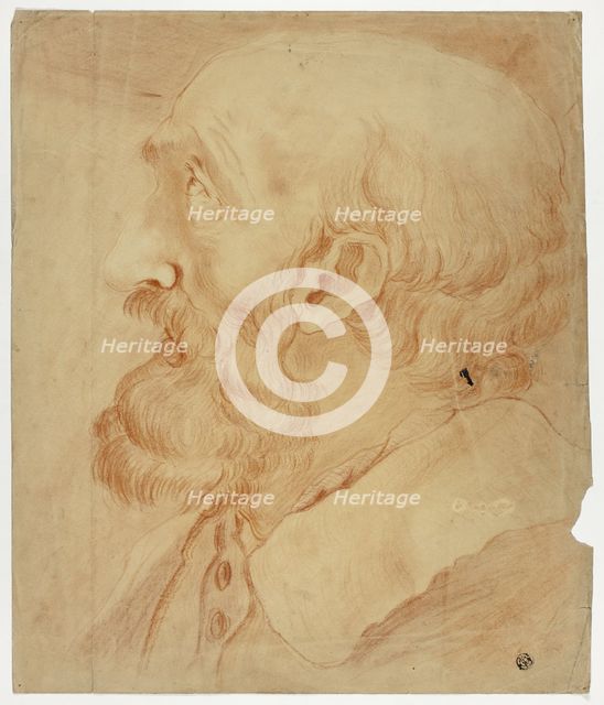 Head of Bearded Man in Profile, n.d. Creator: Unknown.