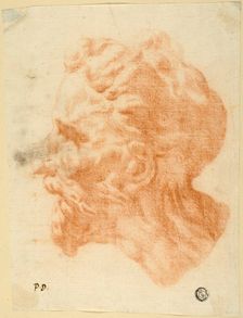 Head of Bearded Man in Profile to Left, n.d. Creator: Pietro Dandini