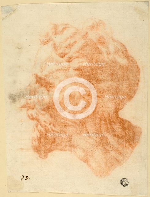 Head of Bearded Man in Profile to Left, n.d. Creator: Pietro Dandini.