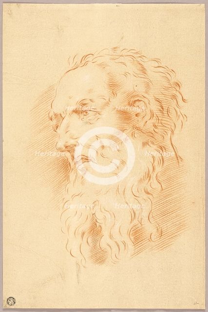 Head of Bearded Man, n.d. Creator: Unknown.