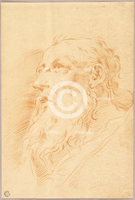 Head of Bearded Man, n.d. Creator: Unknown.