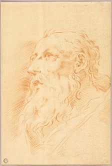 Head of Bearded Man, n.d. Creator: Unknown