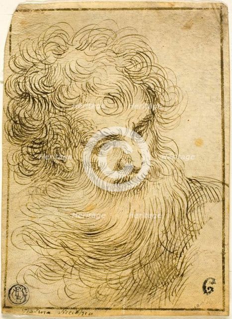 Head of Bearded Old Man (recto), 17th/18th century. Creator: Unknown.