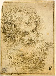 Head of Bearded Old Man (recto), 17th/18th century. Creator: Unknown
