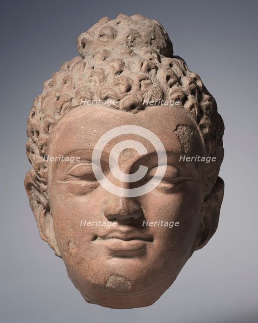 Head of Buddha, 700s. Creator: Unknown.