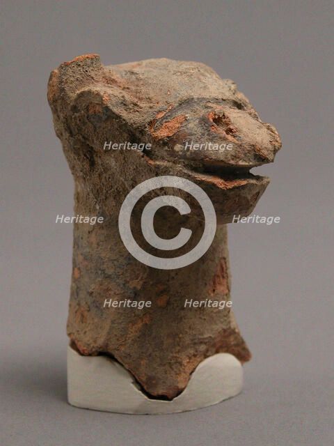 Head of Camel, Coptic, 4th-7th century. Creator: Unknown.