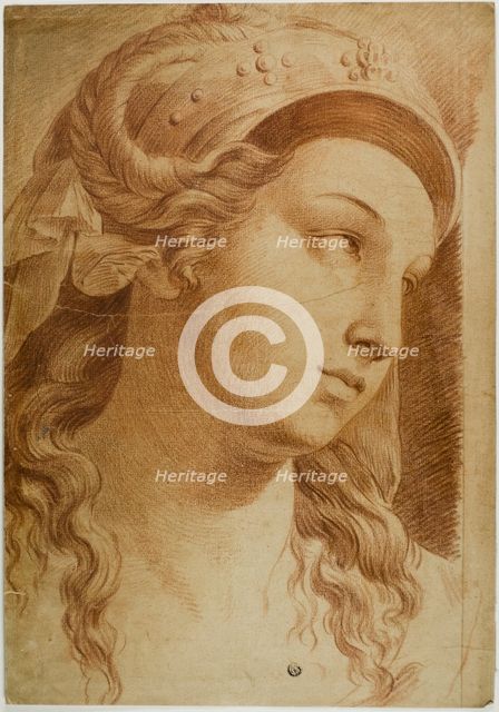Head of Comity, c. 1750. Creator: After Raffaello Sanzio, called Raphael  Italian, 1483-1529.