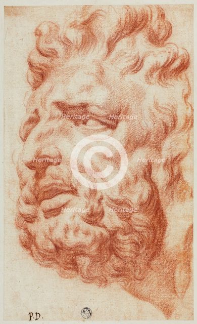 Head of Laocoon, n.d. Creator: Pietro Dandini.