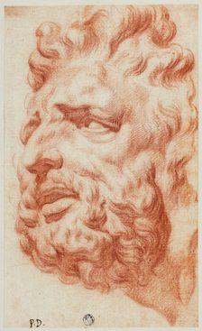 Head of Laocoon, n.d. Creator: Pietro Dandini