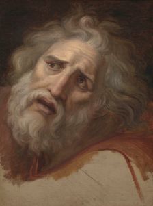 Head of Laocoon, about 1790. Creator: Andrea Appiani