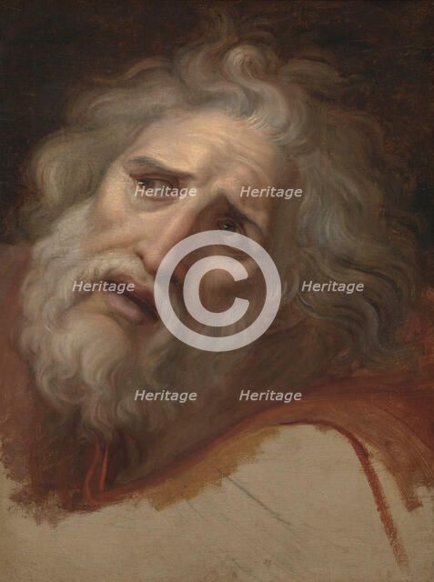 Head of Laocoon, about 1790. Creator: Andrea Appiani.