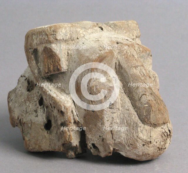 Head of Lion, Coptic, 4th-7th century. Creator: Unknown.