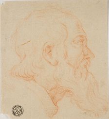 Head of Old Man in Profile to Right, n.d. Creator: Unknown