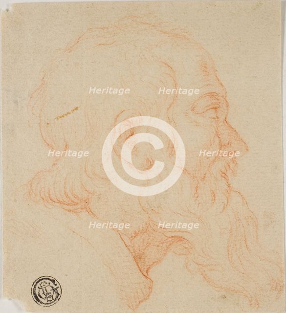 Head of Old Man in Profile to Right, n.d. Creator: Unknown.