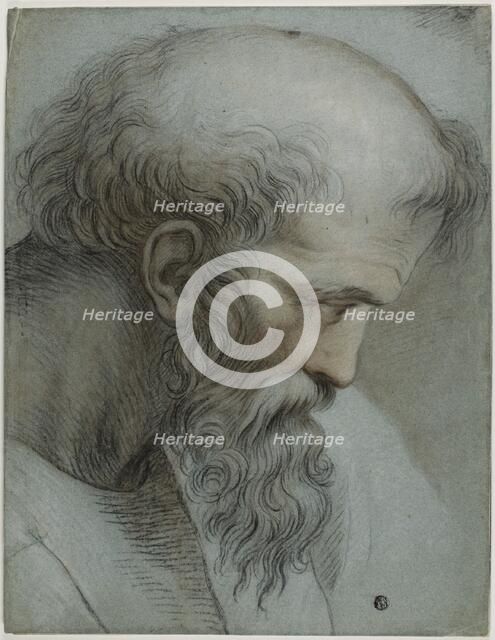 Head of Pythagoras, 18th century. Creator: After Raffaello Sanzio, called Raphael  Italian, 1483-1530.