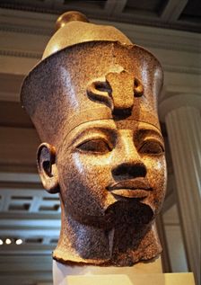 Head of Ramses II (1301 - 1235 a.C.)