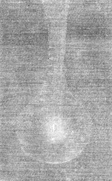 Head of Rosa's comet, Aug. 19, midnight, 1862. Creator: Unknown