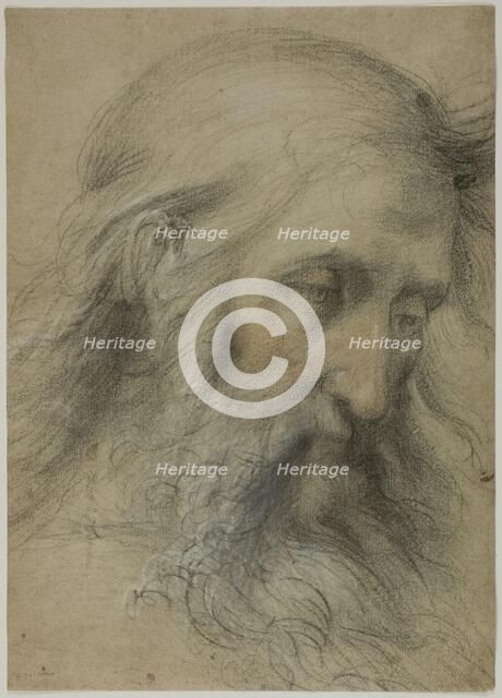 Head of Saint John the Evangelist: Study for the Disputation on the Immaculate..., 1531/36. Creator: Giovanni Antonio Sogliani.