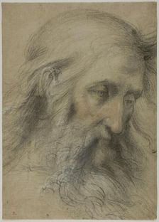 Head of Saint John the Evangelist: Study for the Disputation on the Immaculate..., 1531/36. Creator: Giovanni Antonio Sogliani