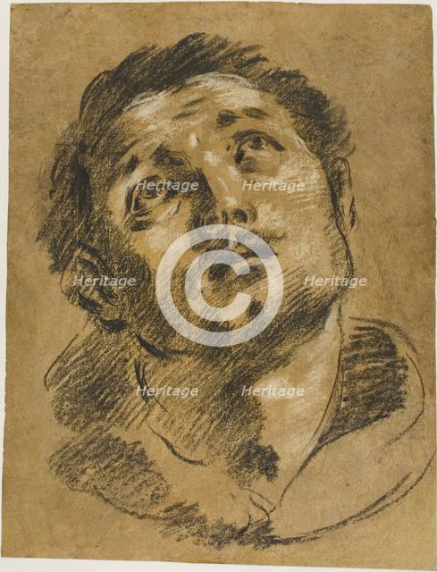 Head of Saint Stephen: Study for the Martyrdom of Saint Stephen, 1627/30. Creator: Jacopo Cavedone.