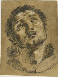 Head of Saint Stephen: Study for the Martyrdom of Saint Stephen, 1627/30. Creator: Jacopo Cavedone
