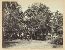 Head-Quarters, New York Herald, Army of the Potomac, September 1863. Creator: Alexander Gardner